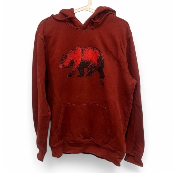 THE NORTH FACE Men's Large Red Bear Pullover Hoodie Sweatshirt TNF - Picture 3 of 15